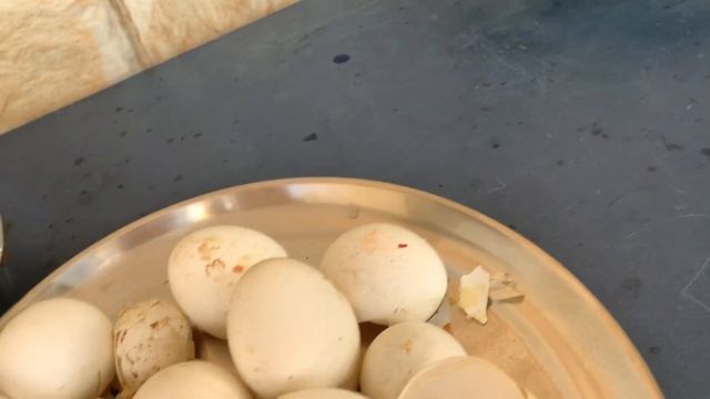 Calcium fertilizer for plant | Calcium nitrate | Free Fertilizer At Home смотреть онлайн