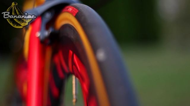 Bananiac's Specialized Allez Sprint Anodized Gold/Nordic Red | Specs & Review смотреть онлайн