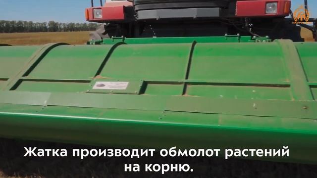 Очесывающая двубарабанная жатка Победа 7 на уборке пшеницы. Уборочная 2023 г Алтайский край смотреть онлайн