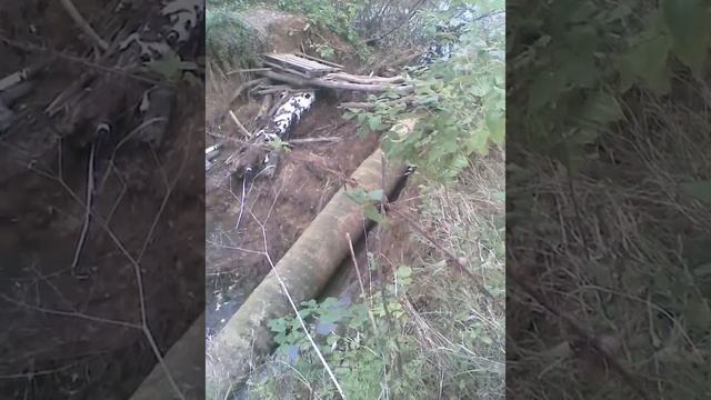 Мое слайд шоу испытание новых болотников Дюна в затопленном лесу смотреть онлайн