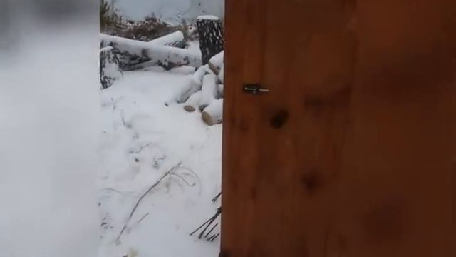 Заклинило дверь туалета смотреть онлайн