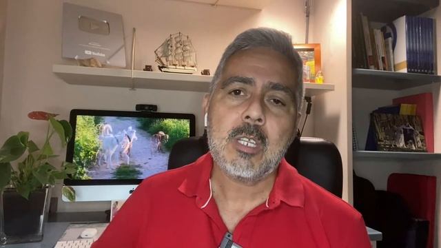 ESTE PATO tiene que USAR ZAPATOS por AMOR a un PERRO ❤️ [LA HISTORIA DE SECHIM] смотреть онлайн
