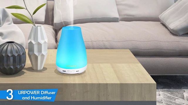 Best Humidifiers in 2020 [Top 5 Picks] смотреть онлайн