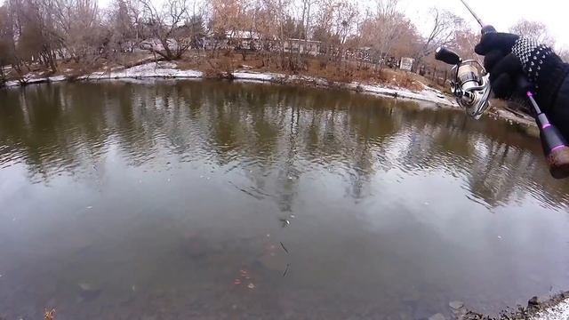 Городская рыбалка. Лещ на Ul. Сплит шот. смотреть онлайн