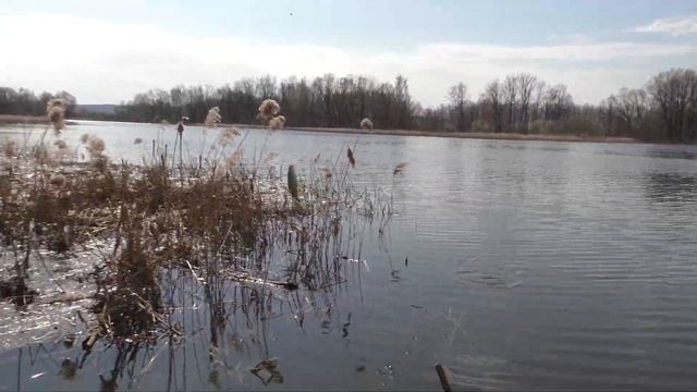 поклевки одна за одной, ловля на поплавок, рыбалка 2023 крупный план! смотреть онлайн