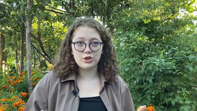 Процесс поступления в вуз / ДВФУ смотреть онлайн