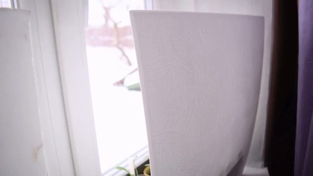 В моем саду