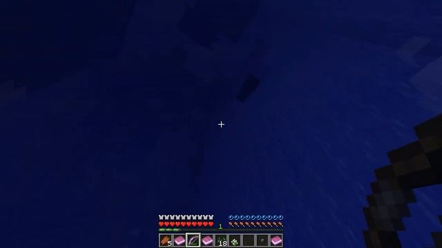 70000 minecraft spawn chunks in one map: the Reef by @leonardr смотреть онлайн