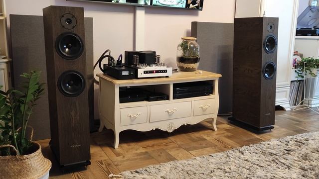 Yaqin MS-30L + Pylon Diamond 28 + Technics SL-1210MK2 + Audio Technica VM540ML + Esdarek MM-3 смотреть онлайн