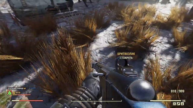 Fallout 76 ежедневные задания смотреть онлайн
