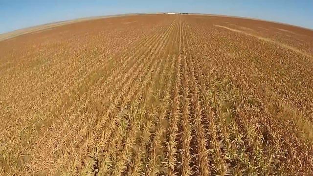 UPCOMING AUCTION- 11/17/15----19,000 ac Cropland & Grass PLUS 2,560 state lease acres смотреть онлайн