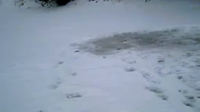 новое место приехал проверить. смотреть онлайн