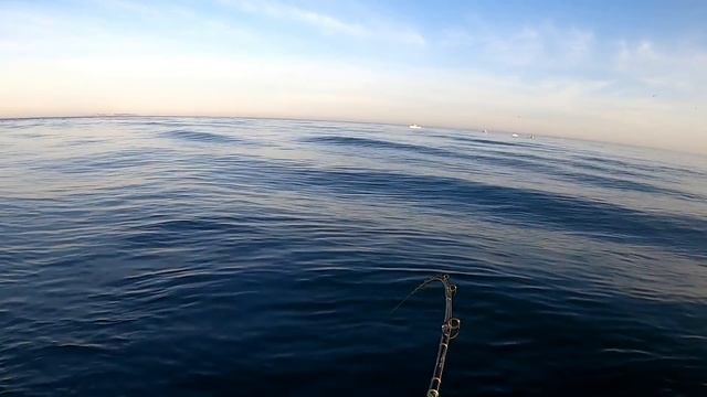 Bass Attack - Striped Bass and Sea Bass Fishing! смотреть онлайн