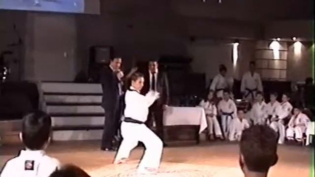 elena kostopoulou karate 14.wmv смотреть онлайн
