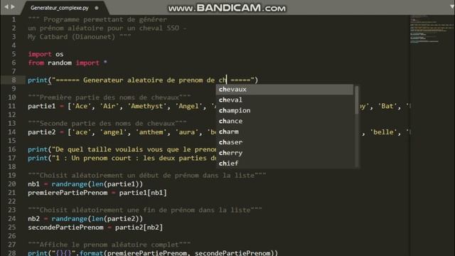 {SSO} Création d'un générateur à prénom смотреть онлайн