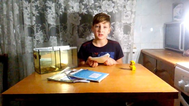 Тема школа номер 5 смотреть онлайн