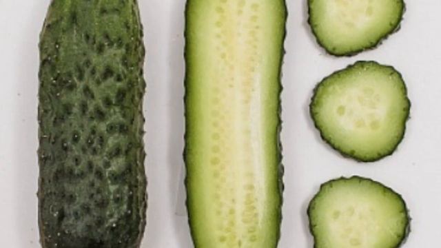 Профессиональные семена огурцов для открытого грунта Набор №4