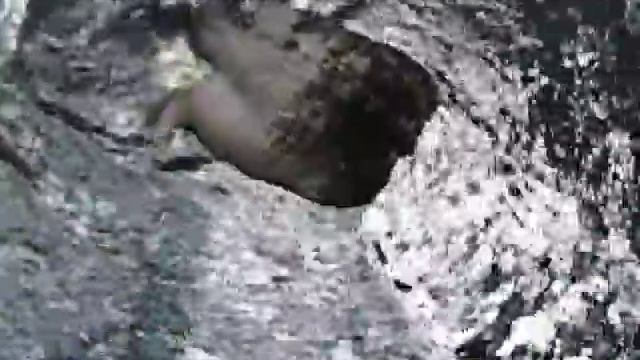 Lontra marinha (Enhydra lutris) - Oceanário de Lisboa. смотреть онлайн