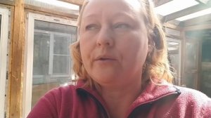 Молочная кислота для коз// Как улучшить аппетит козе, чтобы ела хорошо// Коза ест только ЗЕРНО!