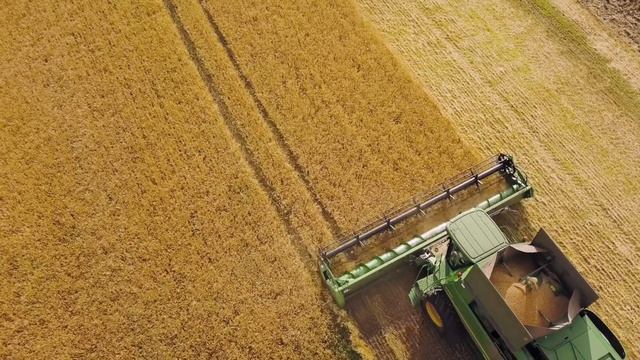 демо отрезок ПРОИЗВОДСТВО ХЛЕБА смотреть онлайн