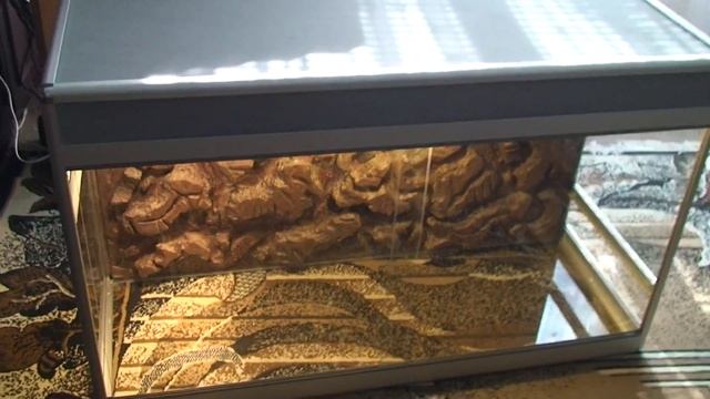 1300х500х800 для питона.MTS смотреть онлайн