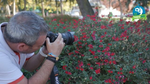 Camara Sony A7R V | Sony A7R Mark V смотреть онлайн