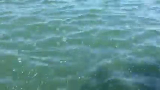 Лов Кефали на Черном море смотреть онлайн