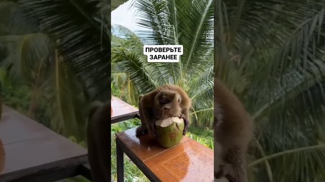 Проверь срок действия загранпаспорта смотреть онлайн