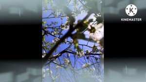 ⚠️ЧРЕЗВЫЧАЙНО МОЩНЫЙ САБЛИМИНАЛ⚠️ Экстренная помощь в любых ситуациях для вас и дорогих вам людей