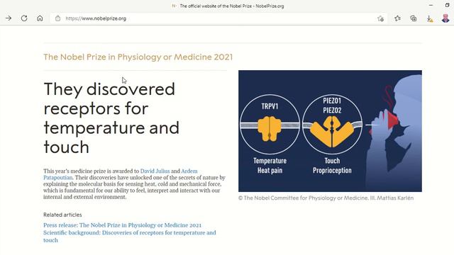 Nobel Prize in Medicine 2021 is awarded to David Julius and Ardem Patapoutian from USA & Lebanon смотреть онлайн