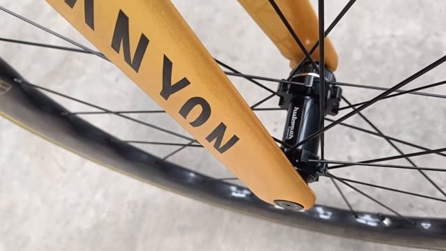 CANYONN + PRINCETON gold смотреть онлайн