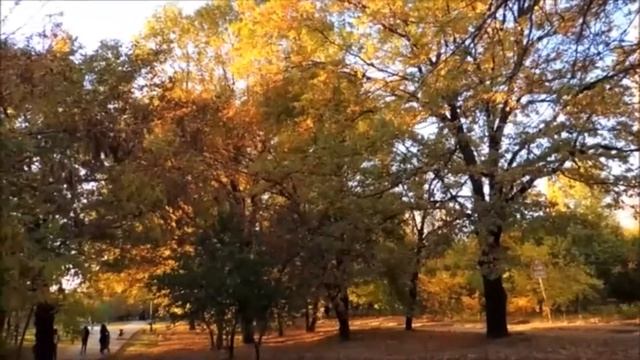 ОСЕНЬ ЧУДНАЯ ПОРА. ОСЕНЬ В РАЗГАРЕ. ОСЕНЬ 2019 смотреть онлайн