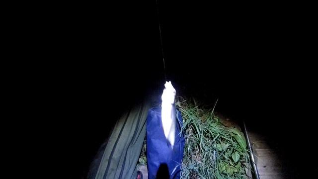 С ФИДЕРОМ НА РЕКЕ. УХА НА КОСТРЕ. НОЧНАЯ РЫБАЛКА смотреть онлайн