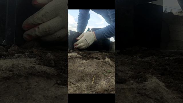 Shotcut-20230425-2.mp4