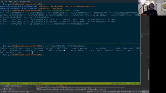 Agones Development: Updating the GameServer SDK смотреть онлайн