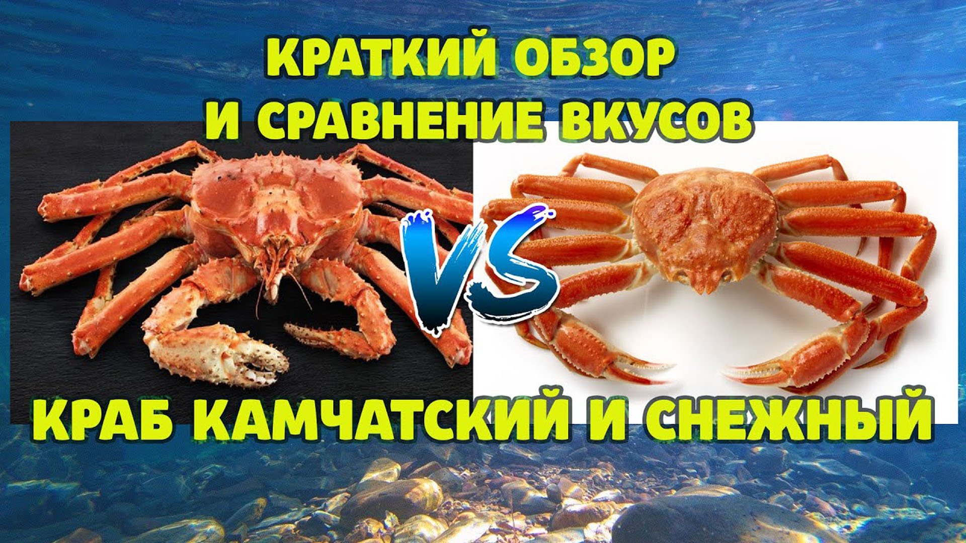 Краткий обзор и сравнение вкусов краб камчатский и снежный смотреть онлайн