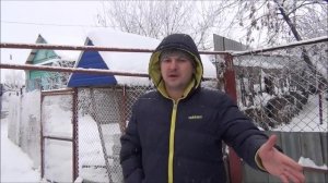 доминанты в экстремальных  зимних условиях,яйценоскость,ответы на часто задаваемые вопросы