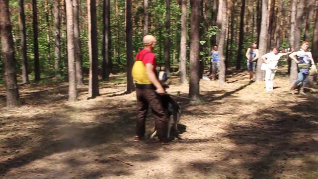 Витязь Салтан 2 пуск моно вео 01.06.14 Н Н смотреть онлайн