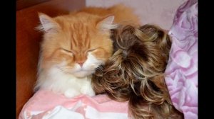 Как убрать нежелательное отражение или "поляризационный" фильтр......