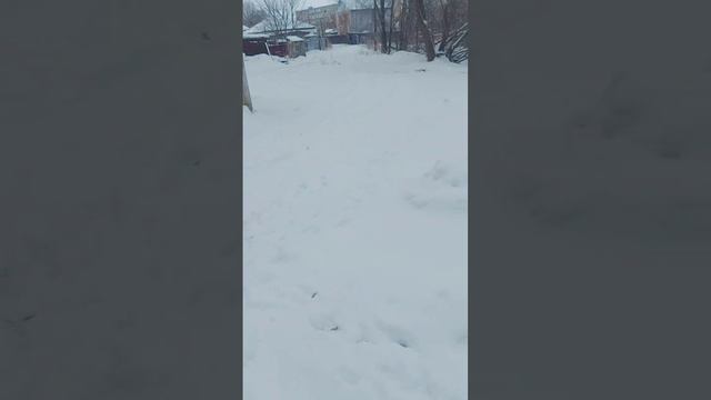 мини рассказ где я живу. смотреть онлайн