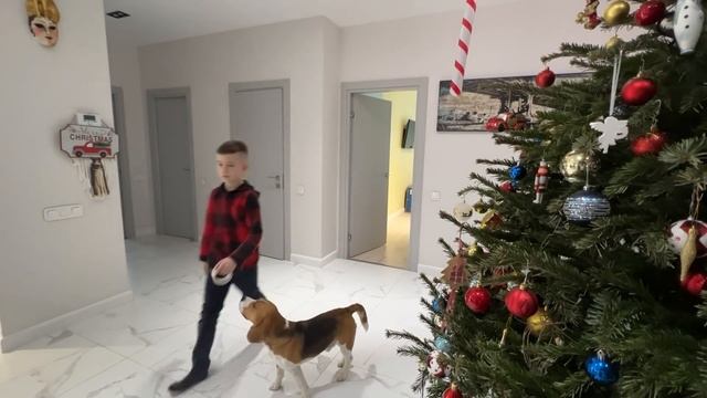 ДРУГ СВЯЗАЛ БРОС ШОУ. ЧТО ПОШЛО НЕ ТАК? БРОС ШОУ