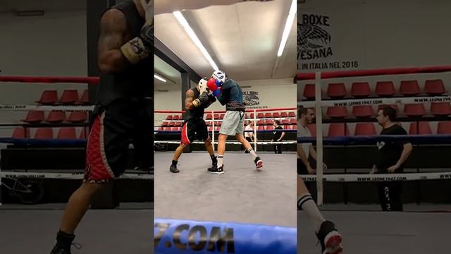 #boxeo #boxing #boxingtraining #sparring #tyson #miketyson смотреть онлайн