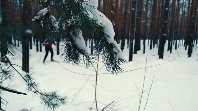 Мы выбрали СПОРТ #3 смотреть онлайн