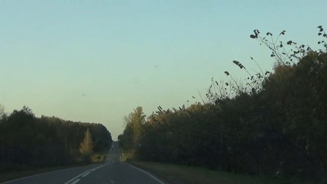 Как думаете, куда поворачивать?