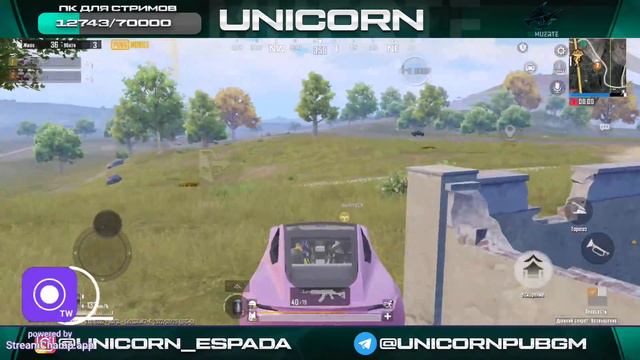 Дуо Против Сквадов с Касиком Pubg Mobile Road To 10k Sub 13 pro max | UNICORN смотреть онлайн