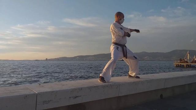 Kyokushin Kata Tekki sono Ichi with amazing view. смотреть онлайн