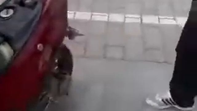 скутер не тянет смотреть онлайн