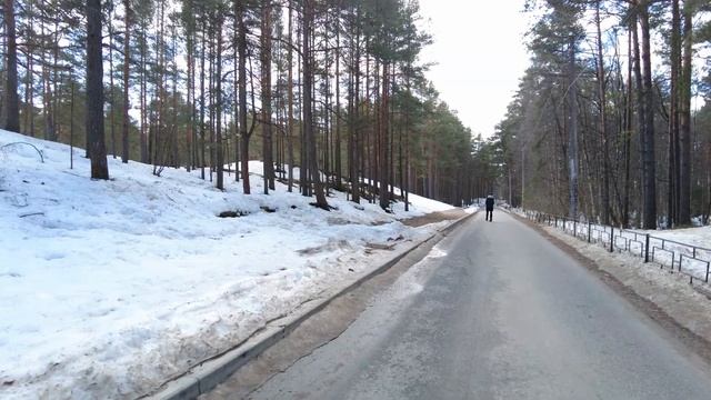 Петербург. СОЛНЕЧНОЕ. История посёлка и самого лучшего пляжа в Петербурге. Пляж "Ласковый". смотреть онлайн