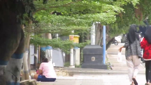 Canon Sx400is Video Test