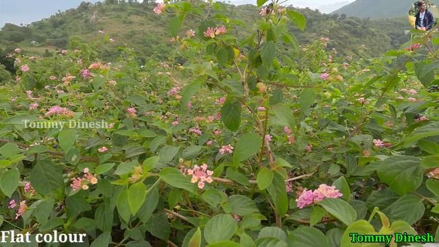 1st GoPro Hero 11 Black Full Review in Tamil | 5k video | Best Action Camera In 2022 смотреть онлайн